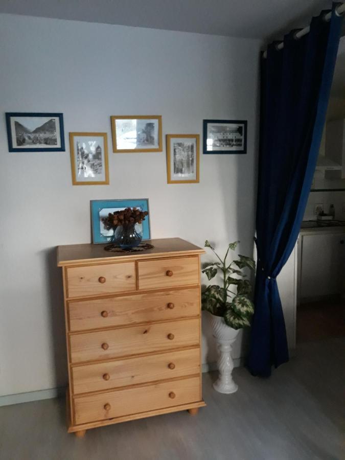 T2 Aulus les Bains Haut Couserans Ariège Esterno foto
